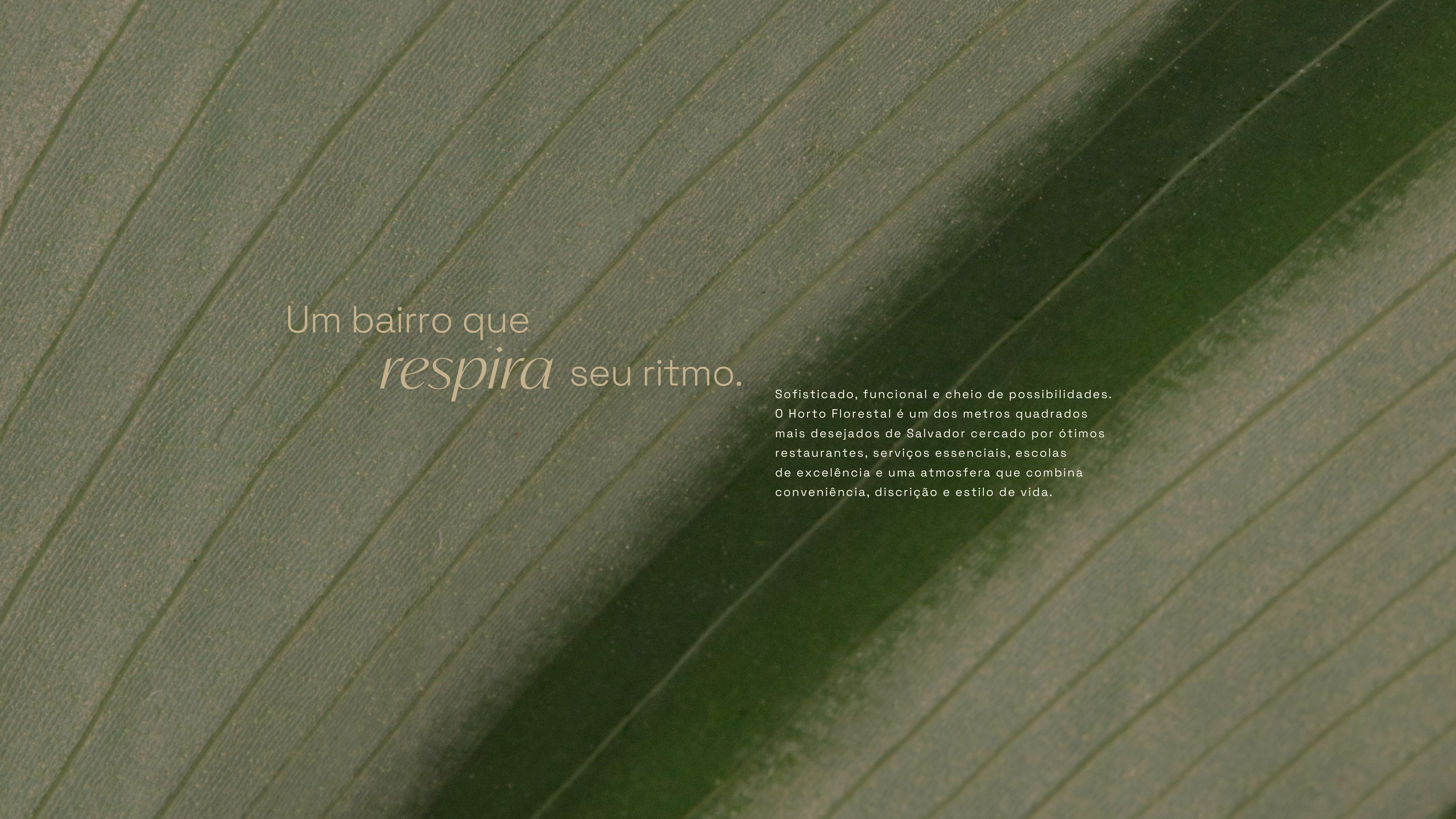 Imagem 6 do material de apresentação do empreendimento Elleve Horto